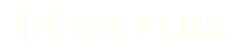 MKT WEPLUG (500 × 108 px)